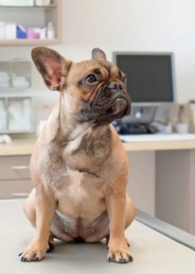 screenshot 2025 07 24 2.19.24 pm